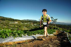 BIB: 2006
                            <button type="button" onclick="openModal(19120301)" class="btn btn-primary btn-sm float-right btn-popup" data-toggle="modal" data-target=".modal-high-quality">
                        <i class="fas fa-shopping-cart"></i> Add to Cart
                    </button>
                                            <button type="button" onclick="isThisMe(19120301, true)" class="btn btn-success btn-sm float-right btn-popup btn-isme hidden" data-toggle="tooltip" data-placement="bottom" title="นี่คือรูปของคุณใช่ไหม คลิกที่นี่เพื่อเอาเข้าอัลบั้ม">
                        <i class="fas fa-plus"></i> Add to album
                    </button>
                    <button type="button" onclick="isThisMe(19120301, false)" class="btn btn-warning btn-sm float-right btn-popup btn-isnotme hidden">
                        <i class="fas fa-ban"></i> Remove from album
                    </button>